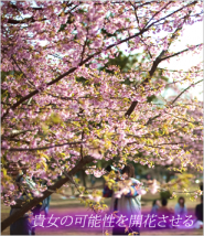 貴女の可能性を銀座高級クラブで開花させる